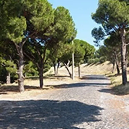 Camlaraltipansiyon Homestay szállás Ayvalı